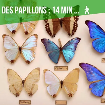 Comme A La Maison - De La Tour Apartment Saint-Quentin (Aisne)